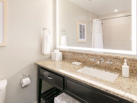 A modern bathroom with a granite countertop, sink, mirror, towel, toilet paper, and a shower with a curtain in the background.