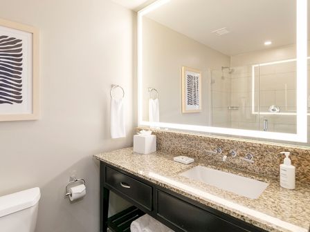 This image shows a modern bathroom with a granite countertop, mirror with lights, a sink, towel, soap, and a framed artwork on the wall.