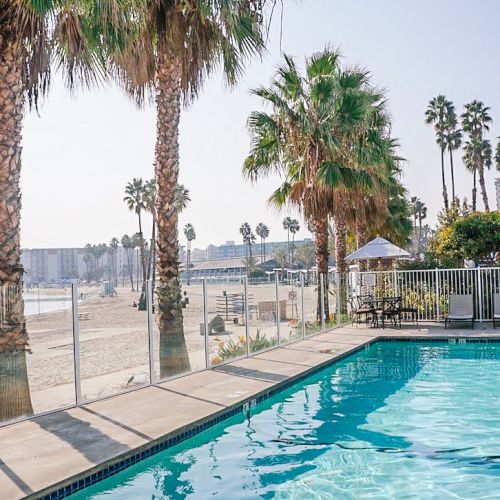 A sunny beachside scene with palm trees, a clear swimming pool, and the ocean in the background.